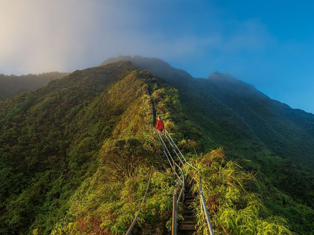 Huge green hill having a staircase