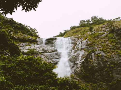 A scenic view of a waterfall cascading down a rocky cliff amidst lush green foliage.