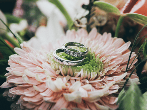 two wedding rings kept on a flower