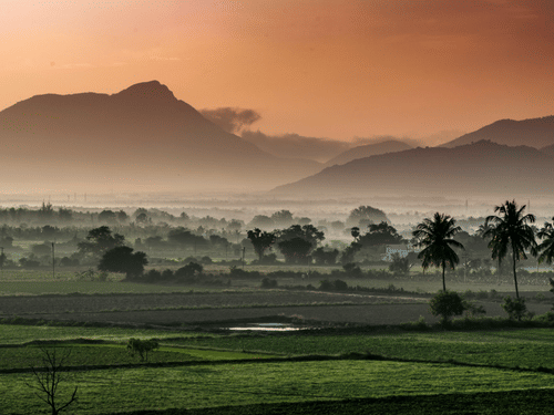 A misty sunrise over rolling hills and palm-dotted fields.