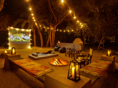 carousel image -1 Bush TV Experience