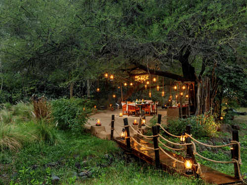 carousel image -2 Under The Babul Tree 3