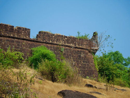 A view from below of an ancient fort's exterior walls with trees and shrubs surrounding it and blue sky in the background.