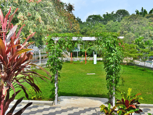 picture of a lawn captured in  the day time