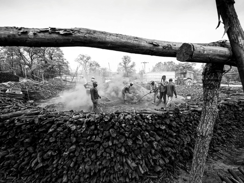 Black and white image of workers handling timber in a lumber yard.