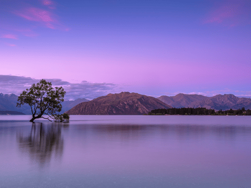 Purple hues in the sky above the Fatehsagar Lake in Udaipur