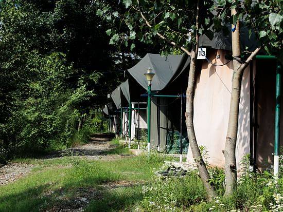 Let s Camp Tents in Chail for camping in Chail