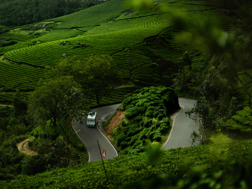 A bus drives along a winding asphalt road through lush, terraced tea plantations on a misty mountain slope.