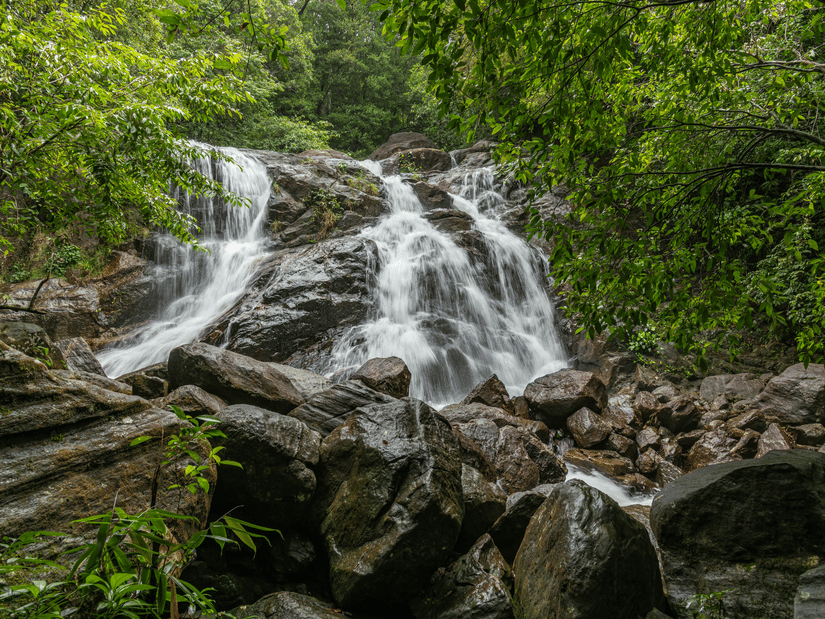 Cascading waterfall flowing over dark rocks amid dense green forest in a serene natural setting