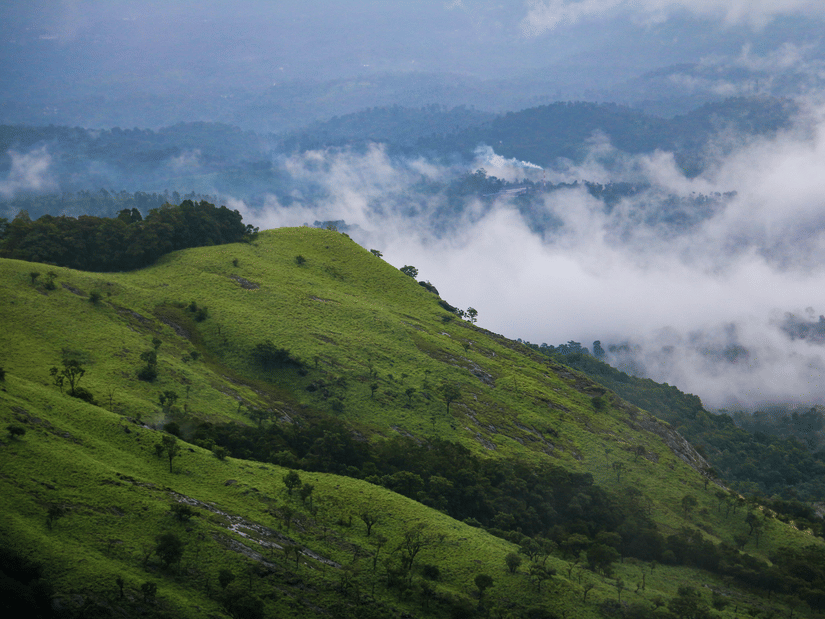 An aerial view of the green hill with a small tree cover on top of it and mist circulating behind the hill while other hills seen in the background, as seen at one of the trekking places in Wayanad.