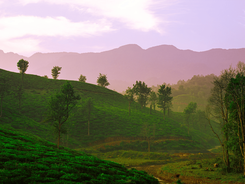An early morning view of Wayanad with trees on hills covered with greenery and other mountains of the Western Ghats in the background.