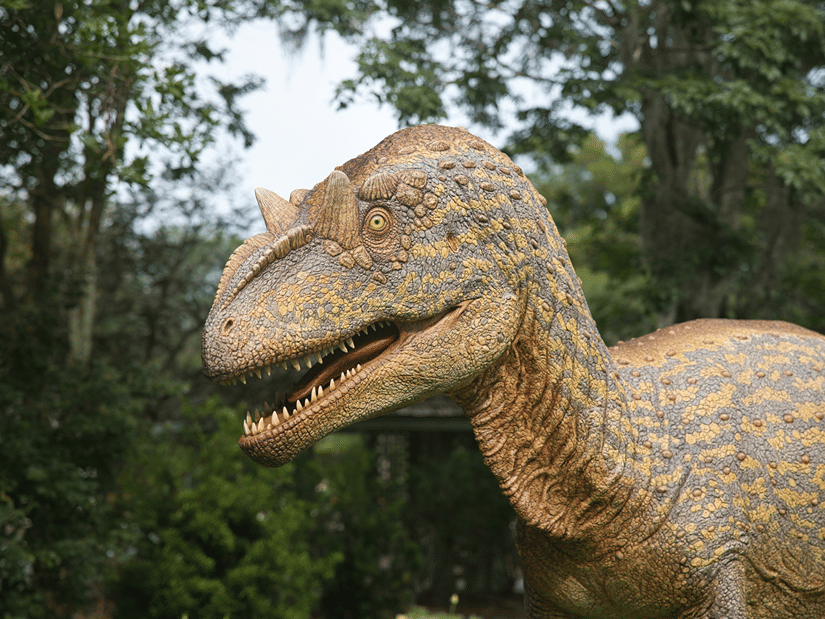A close up view of a Dinosaur's statue with realistic skin, teeth and eyes, kept on a forest like setting.