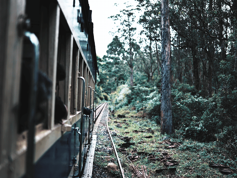 The Ooty Toy Train winds through a lush forest, with the railway tracks curving gently through the Nilgiri hills.