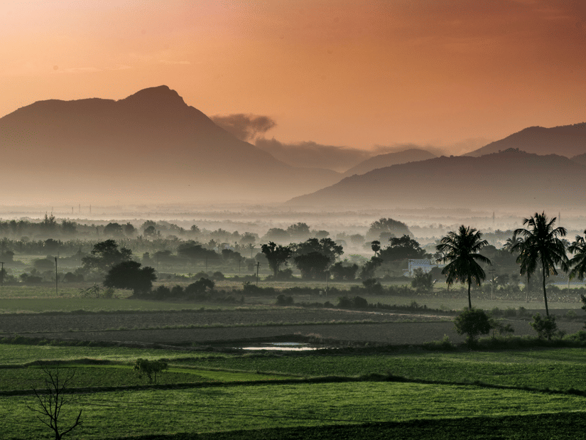 A misty sunrise over rolling hills and palm-dotted fields.