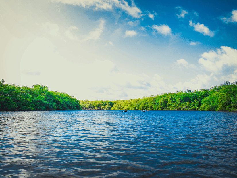 a view of crystal clear lake surrounded by trees  at Ibex River Resort, Pollachi