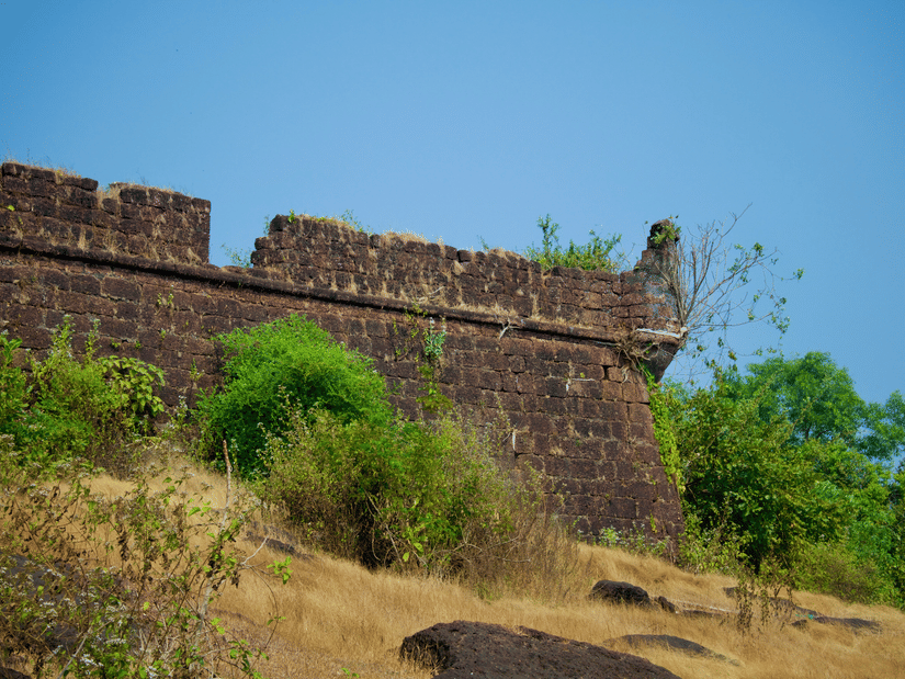 A view from below of an ancient fort's exterior walls with trees and shrubs surrounding it and blue sky in the background.
