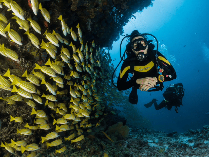 A person scuba diving with coral reefs at the bottom and a school of fishes next to him, another person also seen scuba diving behind him.