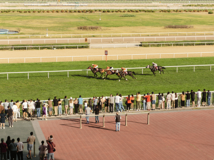 A crowd of spectators watches from a fence as 4 horses and jockeys race across a green grass track during the day.