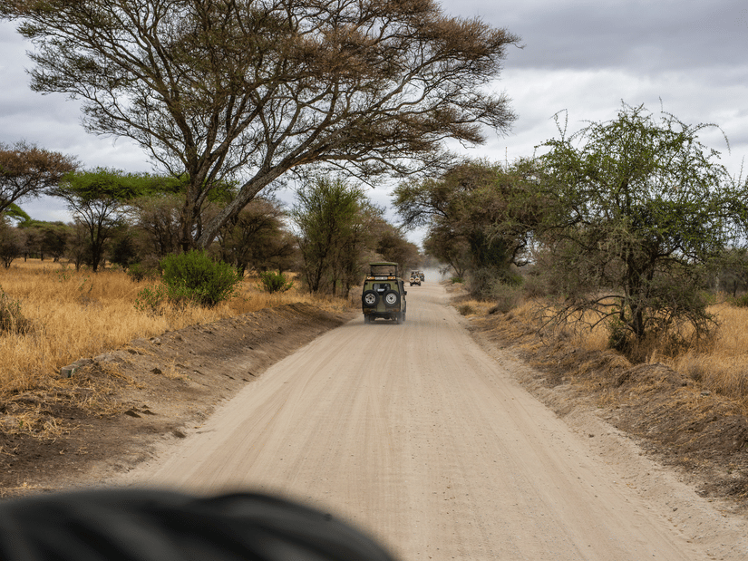 Jeep safari on a smooth road