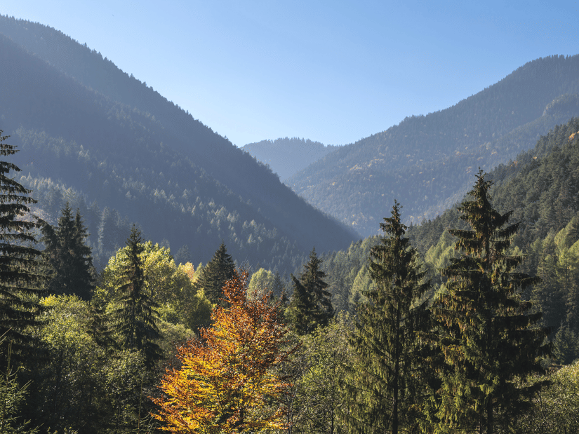 Mountain ranges with tall green trees