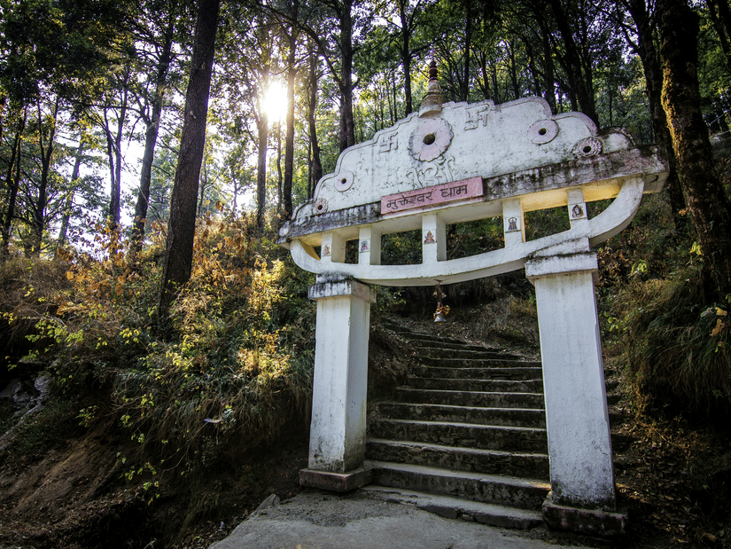 Entrance pathway to Mukteshwar Dham temple surrounded by forest