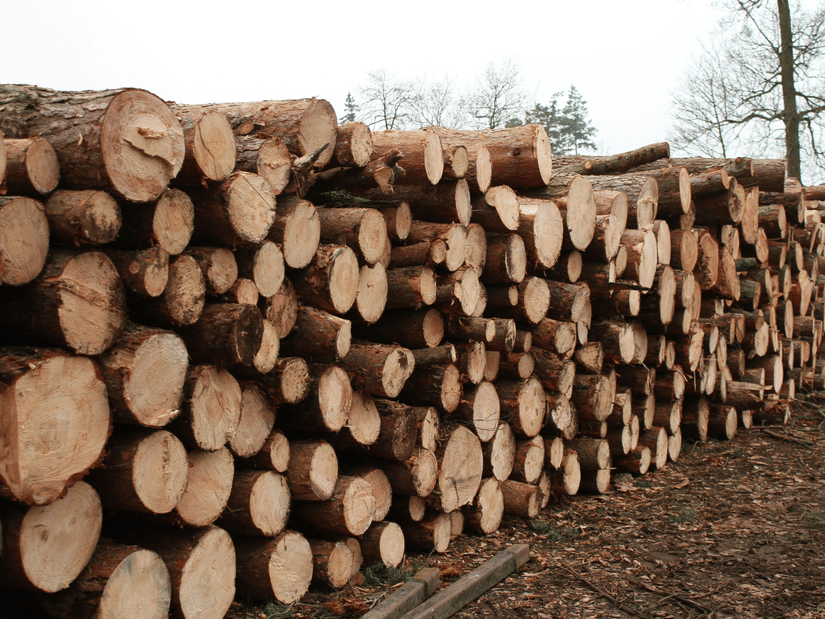 Timber logs stacked outdoors in a lumber storage yard.