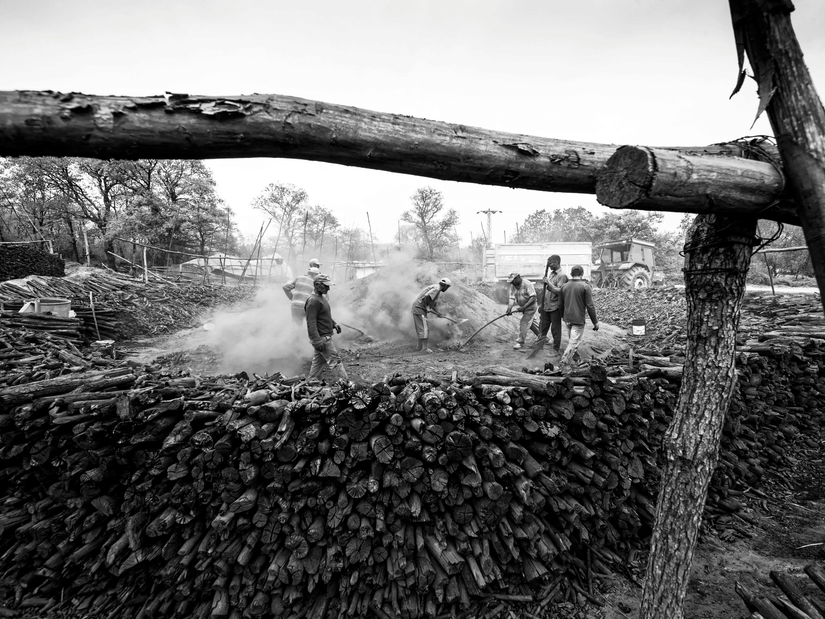Black and white image of workers handling timber in a lumber yard.