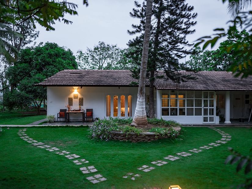 lush green garden at the mangifera
