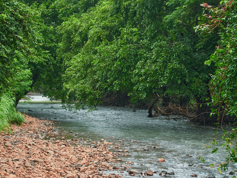 An overview of a small stream flowing on a bed of rocks with trees on either side at Sanjay Gandhi National Park. This is one of the popular sites to visit in the Mumbai monsoon travel guide.