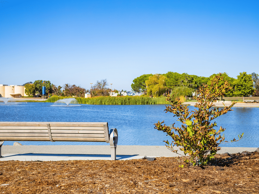 A view of a lake and a bench next to Matariya Lake with trees and blue sky in the background.