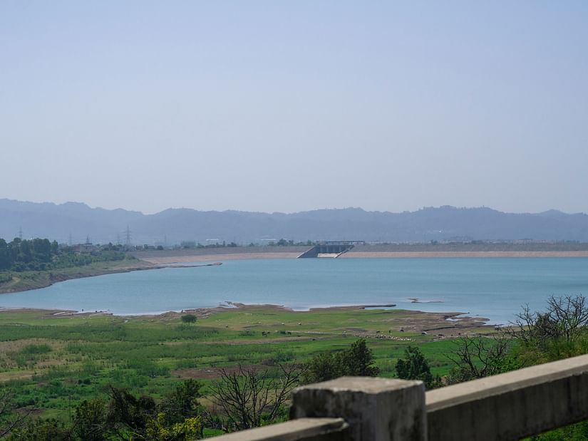 A dam in the background with grass and small shrubs in the foreground.