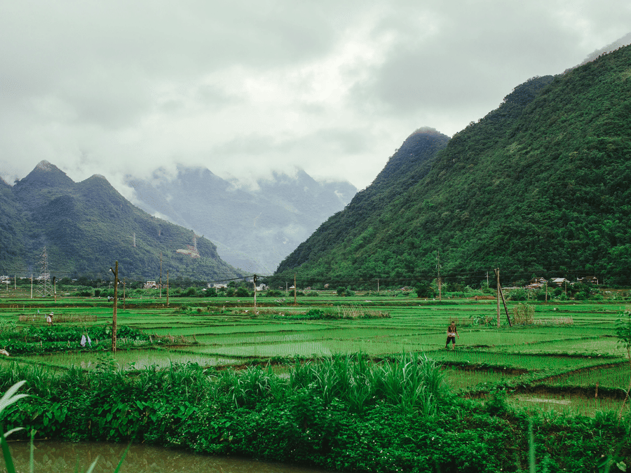 Panoramic view of a vibrant green valley and rice paddies between towering mountains.