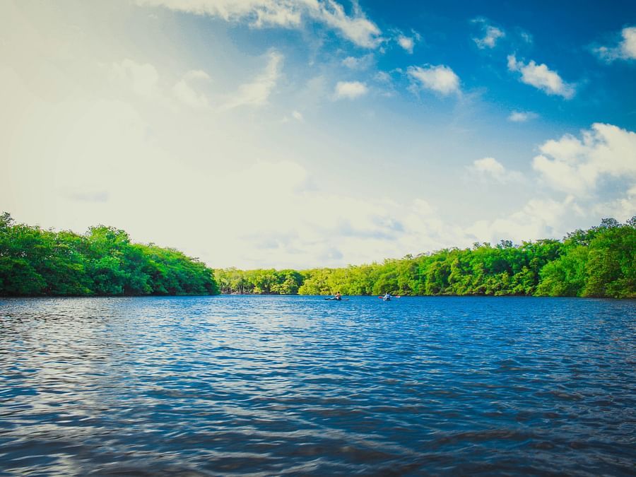 a view of crystal clear lake surrounded by trees  at Ibex River Resort, Pollachi