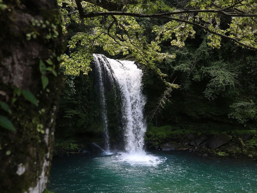 a waterfall during daytime with nature cover 