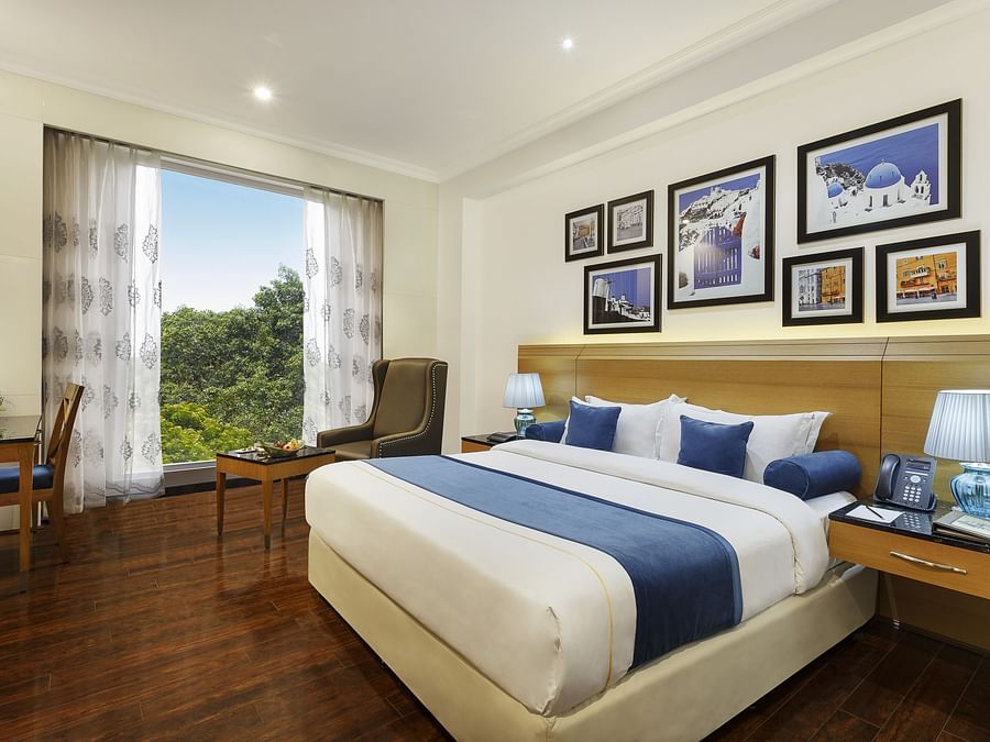Executive Room
