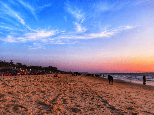 A wide-angle shot of a beach shore during the sunset featuring pink and orange hues on over the crashing waves.