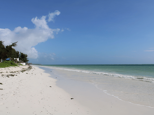 Idyllic white sand beach and azure ocean under clear skies.
