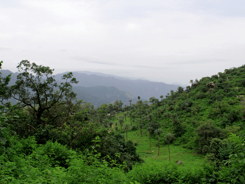  A lush green, forested hillside is visible under a cloudy sky.