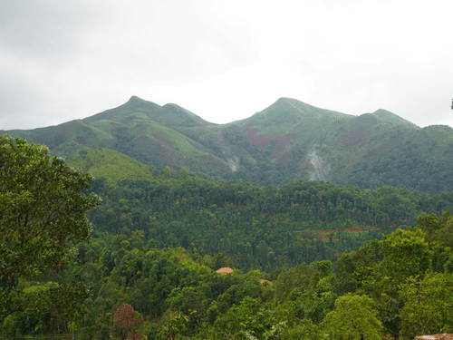 Mountains in Chikmagalur featuring lush slopes under a partially cloudy sky