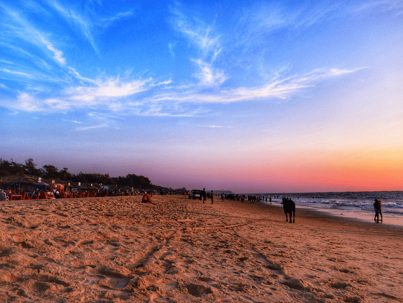 A wide-angle shot of a beach shore during the sunset featuring pink and orange hues on over the crashing waves.