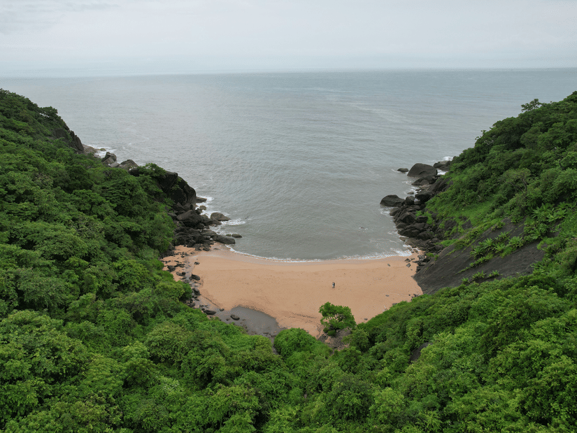 A view from the hill-side of Butterfly Beach, a secluded spot in Goa, with the Arabian Sea in the distance and the beach covered by trees.