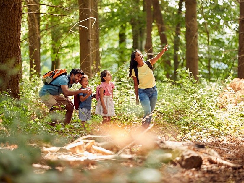  family of four, including two adults and two children, is hiking through a lush, green forest. One adult is pointing out something in the trees to the children, who look excited.