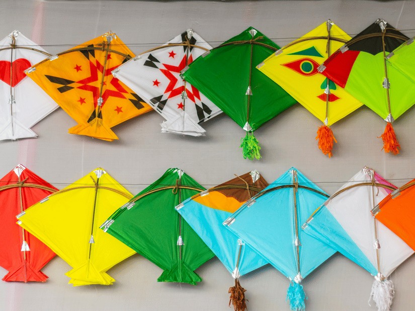 Makar Sankranti photograph displaying vibrant kites arranged for the festival celebration.
