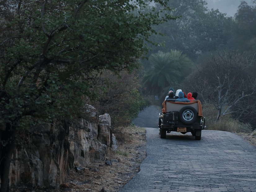 A vehicle with passengers on a narrow paved road surrounded by trees and rocky terrain, moving through a forested area.