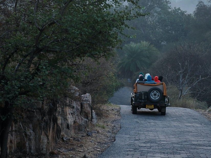 a jeep during a safari