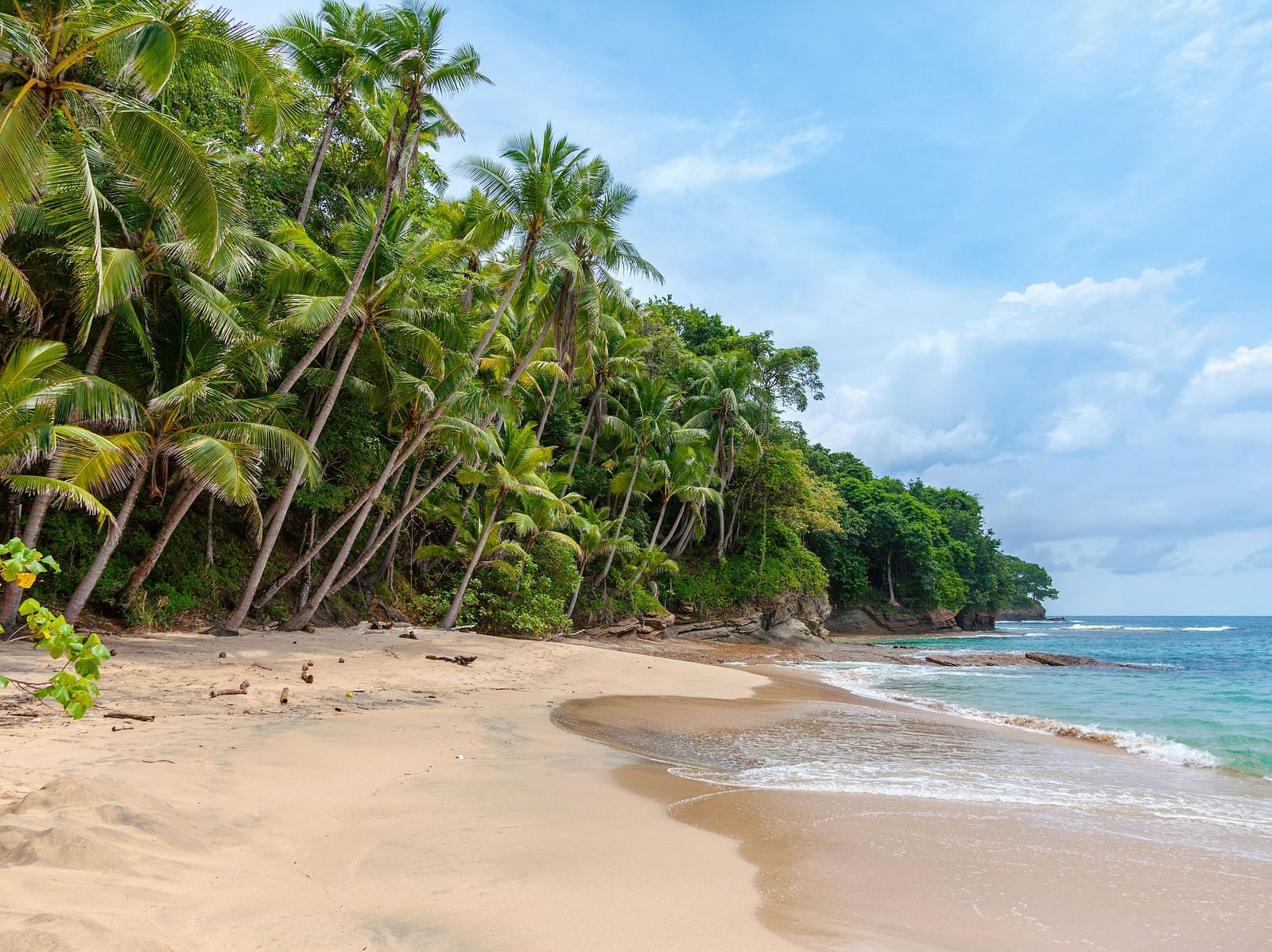 A tranquil beach with lush palm trees and clear blue waters