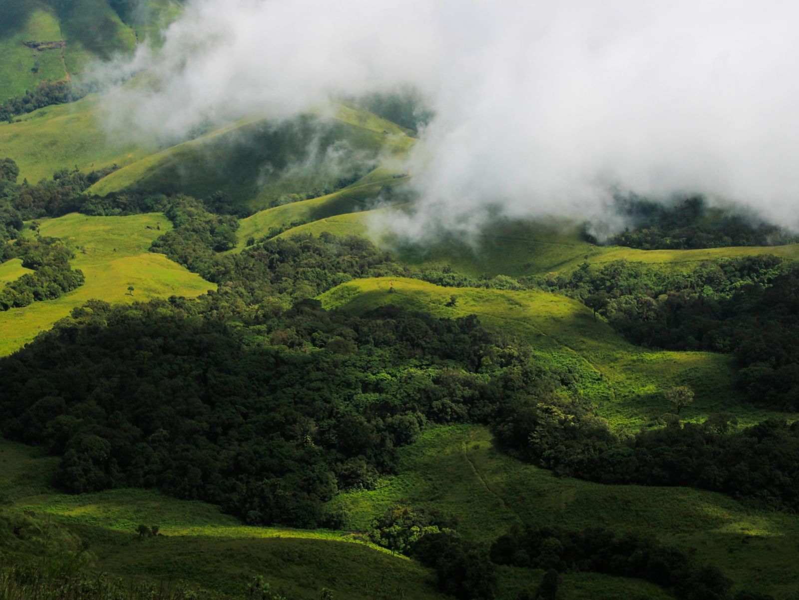  An aerial view of rolling green hills partially covered by misty white clouds, with patches of dense forest below.
