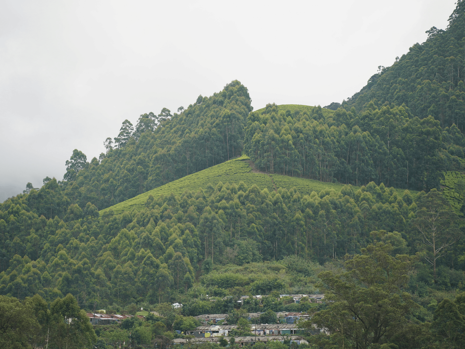 A landscape view of hills with dense trees, scattered houses in the lower area, and a cloudy sky.