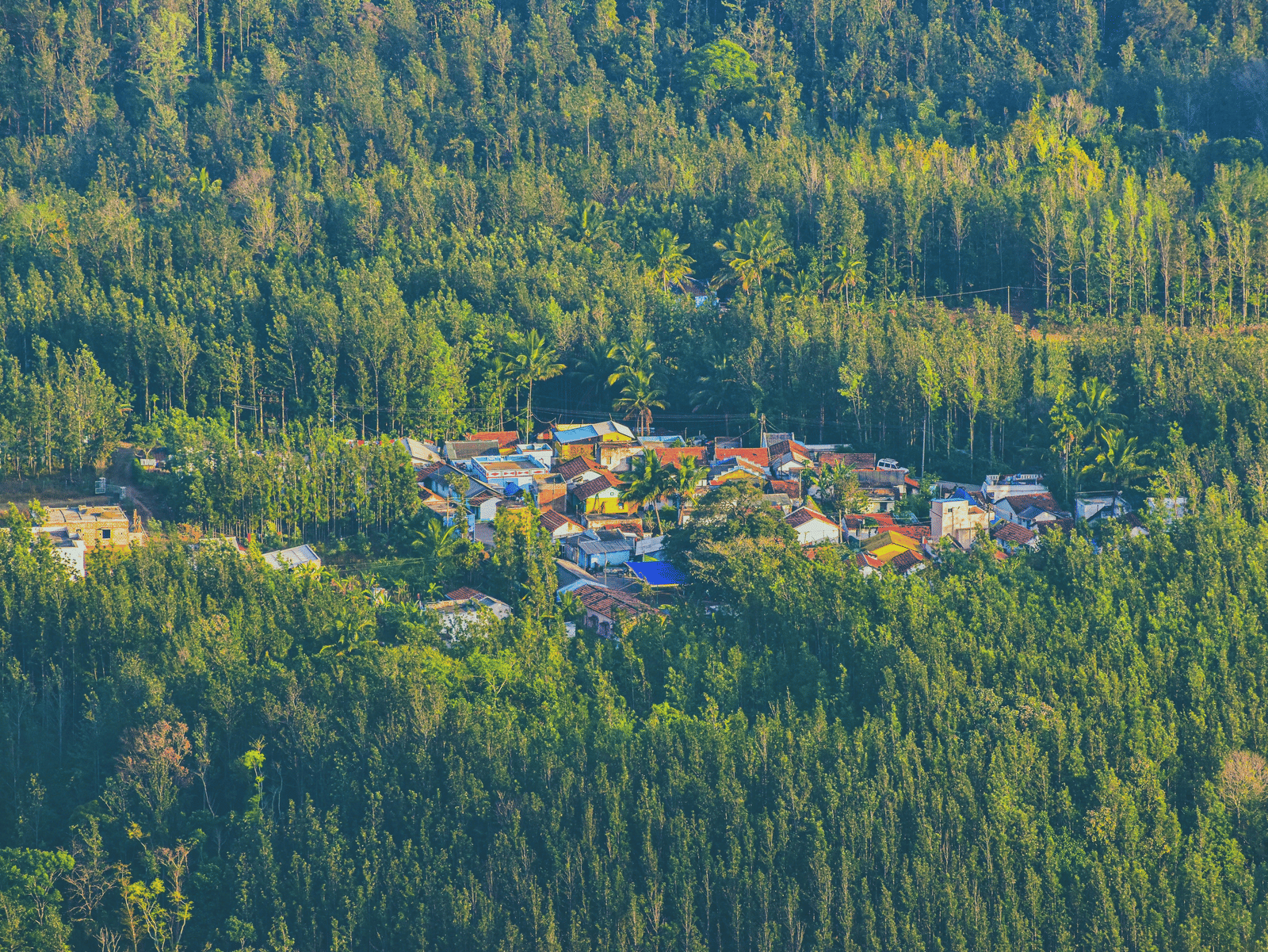 A small settlement surrounded by dense green forest, captured from an aerial perspective.