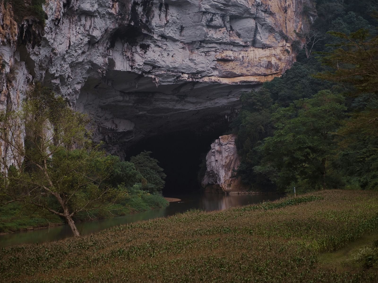 A large cave entrance surrounded by lush greenery and rocky terrain.